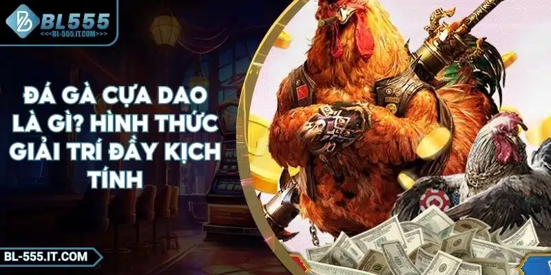 Đá Gà Cựa Dao Là Gì? Hình Thức Giải Trí Đầy Kịch Tính 3 Đá Gà Cựa Dao Là Gì? Hình Thức Giải Trí Đầy Kịch Tính
