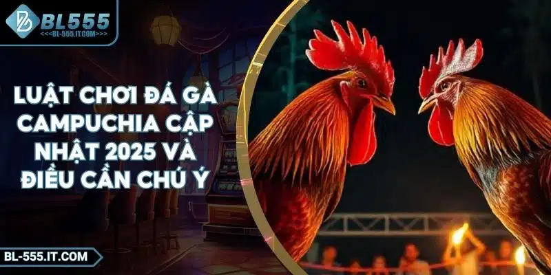 Luật Chơi Đá Gà Campuchia Cập Nhật 2025 Và Điều Cần Chú Ý 2 Luật Chơi Đá Gà Campuchia Cập Nhật 2025 Và Điều Cần Chú Ý